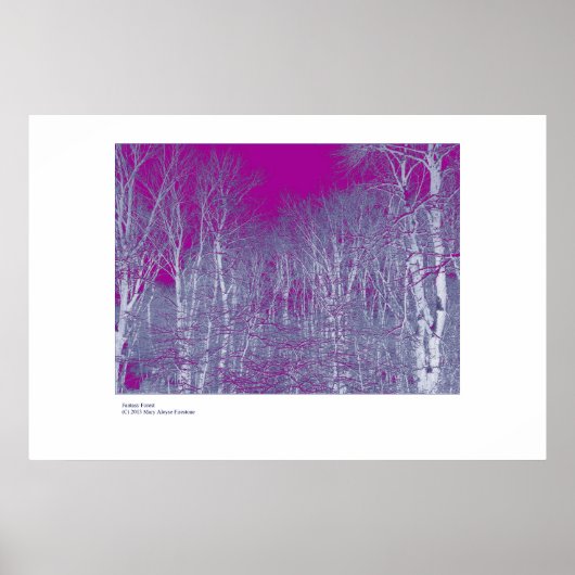 Fantasy Forest Poster (Voorkant)