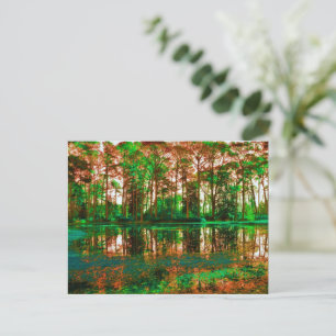 Fantasy Forest van Shirley Taylor Briefkaart