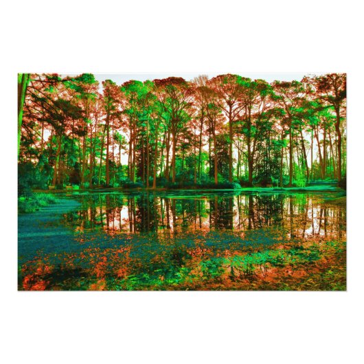 Fantasy Forest van Shirley Taylor Foto Afdruk (Voorkant)