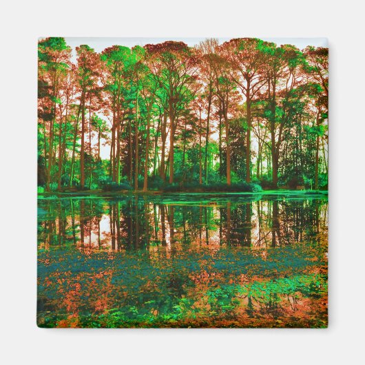 Fantasy Forest van Shirley Taylor Magneet (Voorkant)