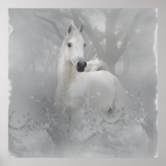 Fantasy Horse Poster (Voorkant)
