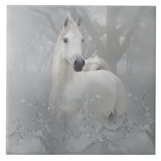 Fantasy Horse Tegeltje (Voorkant)