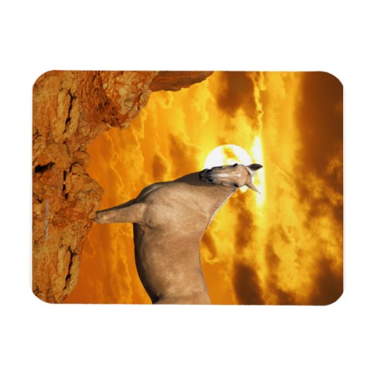 Fantasy Horses: Berg Magneet (Horizontaal)