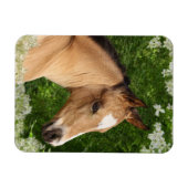 Fantasy Horses: Bloemen Magneet (Horizontaal)