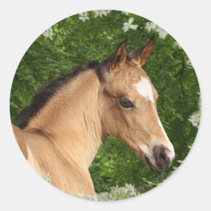 Fantasy Horses: Bloemen Ronde Sticker