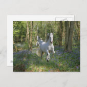 Fantasy Horses: Bluebell Wood Briefkaart (Voorkant / Achterkant)