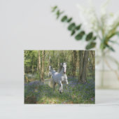 Fantasy Horses: Bluebell Wood Briefkaart (Staand voorkant)