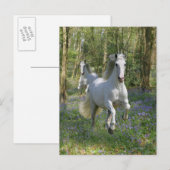 Fantasy Horses: Bluebell Wood Briefkaart (Voorkant / Achterkant)