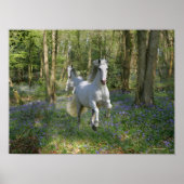 Fantasy Horses: Bluebell Wood Poster (Voorkant)