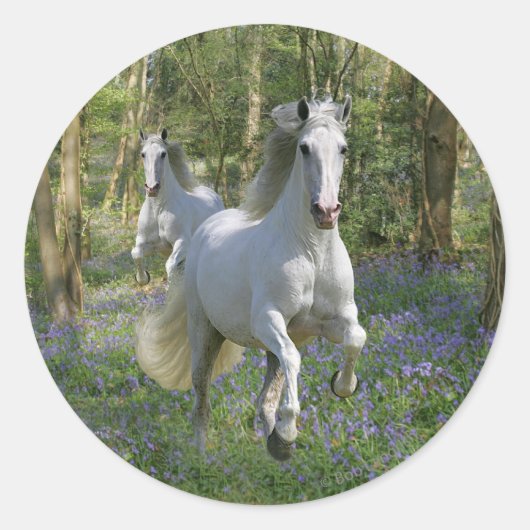 Fantasy Horses: Bluebell Wood Ronde Sticker (Voorkant)