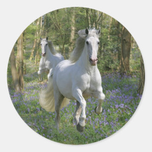 Fantasy Horses: Bluebell Wood Ronde Sticker