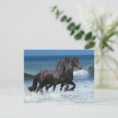 Fantasy Horses: Friesians & Zee Briefkaart (Staand voorkant)