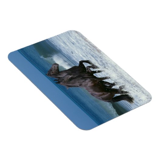 Fantasy Horses: Friesians & Zee Magneet (Rechterzijde)