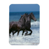 Fantasy Horses: Friesians & Zee Magneet (Verticaal)
