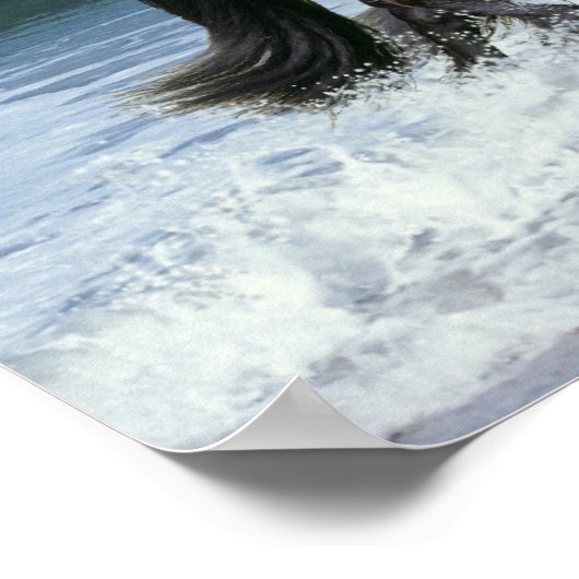 Fantasy Horses: Friesians & Zee Poster (Hoek)