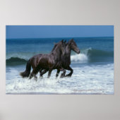 Fantasy Horses: Friesians & Zee Poster (Voorkant)