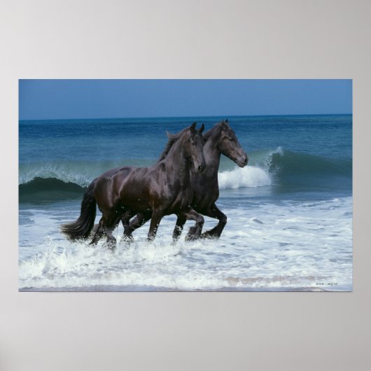 Fantasy Horses: Friesians & Zee Poster (Voorkant)