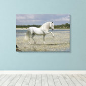 Fantasy Horses: Heer van het meer Canvas Afdruk (Insitu (Houten vloer))