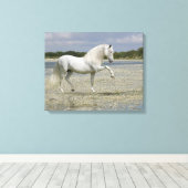 Fantasy Horses: Heer van het meer Canvas Afdruk (Insitu (Houten vloer))