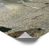 Fantasy Horses: Heer van het meer Poster (Hoek)