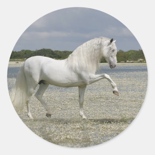 Fantasy Horses: Heer van het meer Ronde Sticker (Voorkant)