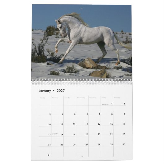 Fantasy Horses Kalender (Jan 2027)