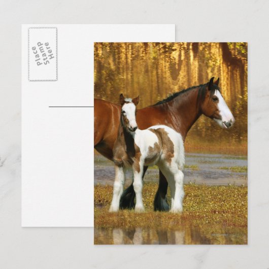 Fantasy Horses: Mare & Foal Briefkaart (Voorkant / Achterkant)