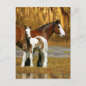 Fantasy Horses: Mare & Foal Briefkaart (Voorkant)