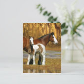 Fantasy Horses: Mare & Foal Briefkaart (Staand voorkant)