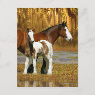 Fantasy Horses: Mare & Foal Briefkaart
