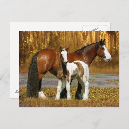 Fantasy Horses: Mare & Foal Briefkaart (Voorkant / Achterkant)