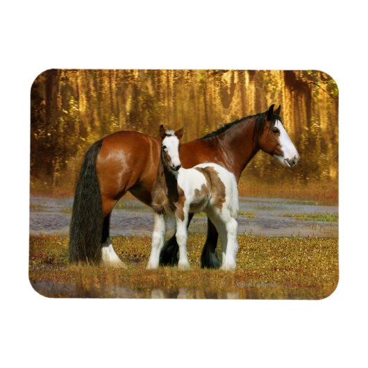 Fantasy Horses: Mare & Foal Magneet (Horizontaal)