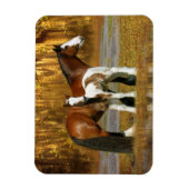 Fantasy Horses: Mare & Foal Magneet (Verticaal)