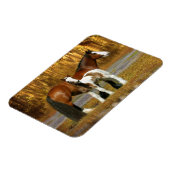 Fantasy Horses: Mare & Foal Magneet (Linkerzijde)