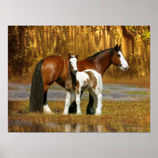 Fantasy Horses: Mare & Foal Poster (Voorkant)