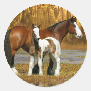 Fantasy Horses: Mare & Foal Ronde Sticker