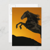 Fantasy Horses: Mountain Sunset Briefkaart (Voorkant / Achterkant)