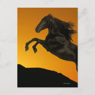 Fantasy Horses: Mountain Sunset Briefkaart