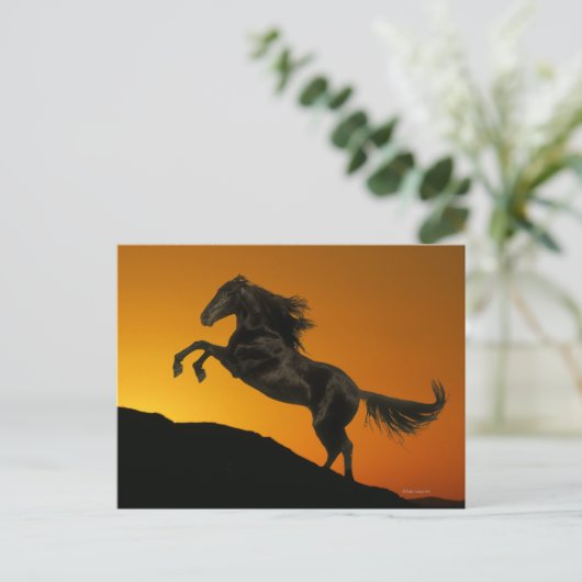 Fantasy Horses: Mountain Sunset Briefkaart (Staand voorkant)