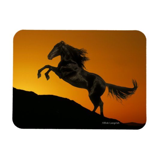 Fantasy Horses: Mountain Sunset Magneet (Horizontaal)