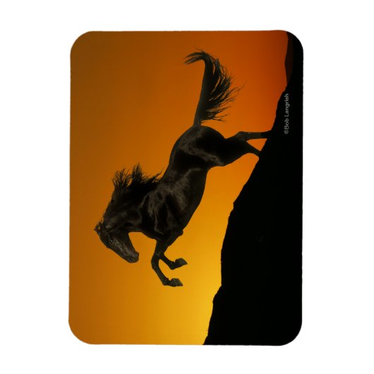 Fantasy Horses: Mountain Sunset Magneet (Verticaal)