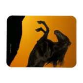 Fantasy Horses: Mountain Sunset Magneet (Horizontaal)