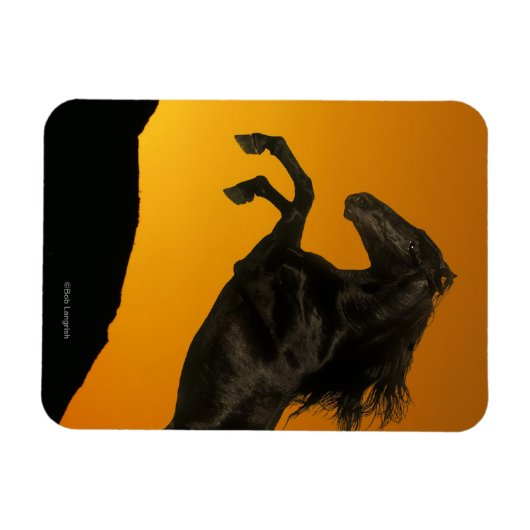 Fantasy Horses: Mountain Sunset Magneet (Horizontaal)