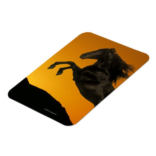Fantasy Horses: Mountain Sunset Magneet (Linkerzijde)
