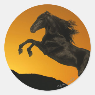 Fantasy Horses: Mountain Sunset Ronde Sticker