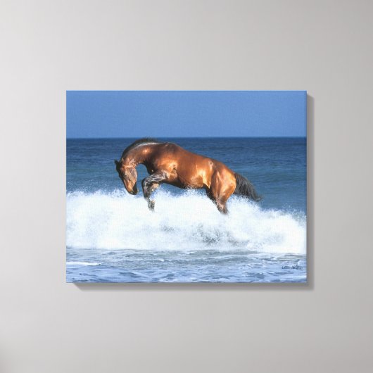 Fantasy Horses: Selle Francais en Zee Canvas Afdruk (Voorkant)