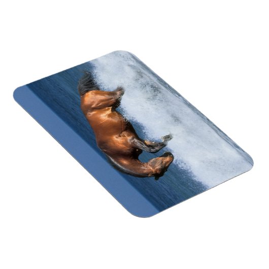 Fantasy Horses: Selle Francais en Zee Magneet (Rechterzijde)