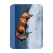 Fantasy Horses: Selle Francais en Zee Magneet (Verticaal)