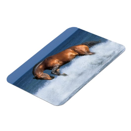 Fantasy Horses: Selle Francais en Zee Magneet (Linkerzijde)