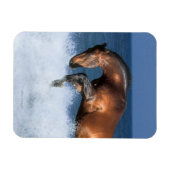 Fantasy Horses: Selle Francais en Zee Magneet (Horizontaal)